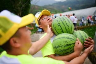 裤衩楼吃瓜,一场别开生面的吃瓜盛宴  第2张