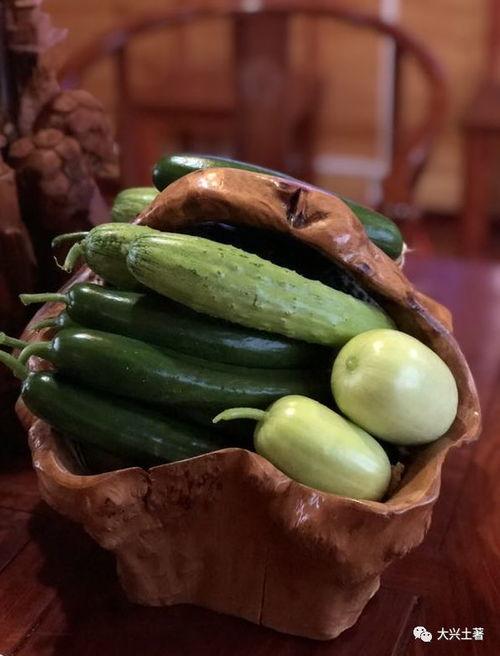 吴川网红吃瓜,揭秘网络红人的真实一面  第2张