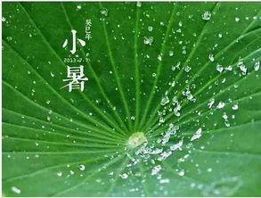 吃瓜现代诗,吃瓜现代诗的别样风情  第2张