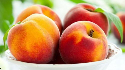 吃瓜 桃子成语,品味成语中的智慧果实  第3张