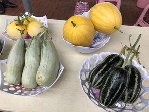 今日吃瓜5,揭秘娱乐圈最新热点事件