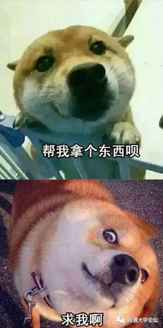 沙雕寝室吃瓜,笑料百出，欢乐无限  第3张