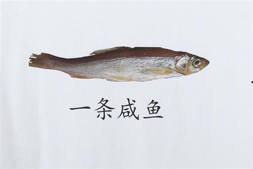 咸鱼吃瓜视频大全,咸鱼吃瓜视频大全精选集