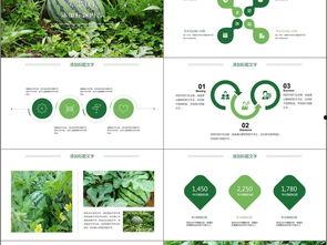 ppt模板复旦吃瓜,揭秘校园热点事件背后的真相