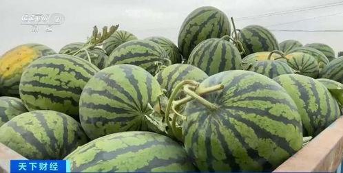 polyu吃瓜,揭秘校园风云背后的真相  第2张