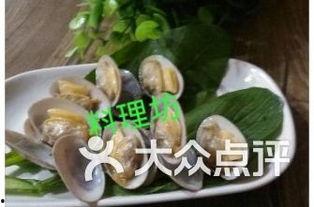 揭阳炮台吃瓜,探寻历史遗迹中的“吃瓜”趣事