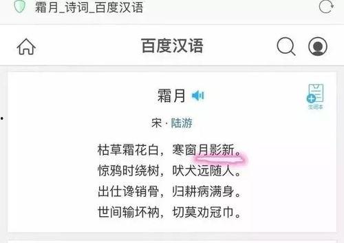 吃瓜群怎么回复,轻松应对各种话题  第2张