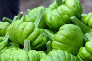 大理吃姜柄瓜,姜柄瓜的独特风味体验  第2张