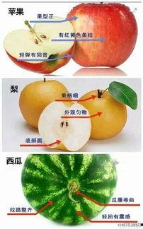 明天买6个瓜吃  第3张