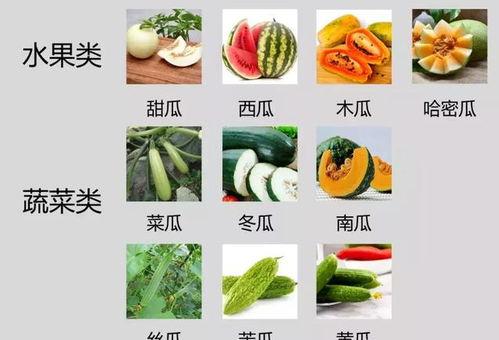 古茗吃瓜1.0  第3张