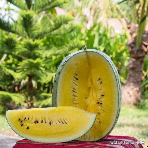 吃瓜赏文,品味文字中的瓜田乐趣  第3张