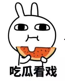 奋斗飞吻飞船吃瓜,一场吃瓜者的太空冒险之旅  第2张