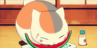 奋斗飞吻飞船吃瓜,一场吃瓜者的太空冒险之旅  第3张