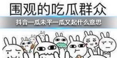 抖音吃瓜比赛  第2张