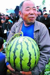 二十岁吃瓜,那些年我们一起追的明星八卦  第2张