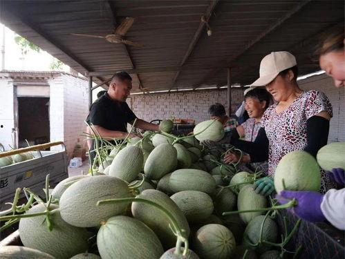 吃瓜户,揭秘吃瓜户背后的娱乐江湖  第3张