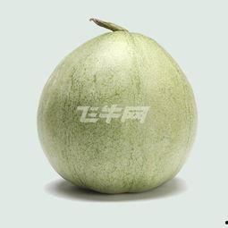 蜜宝王瓜怎么吃,美味多汁，轻松享用的健康佳品  第2张