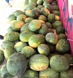 恒丰购物公园吃瓜,夏日吃瓜盛地，尽享悠闲时光  第2张