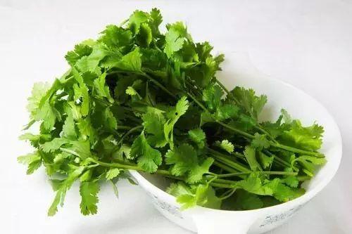 香菜讲吃瓜,一场味蕾与视觉的盛宴