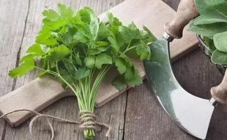 香菜讲吃瓜,一场味蕾与视觉的盛宴  第2张