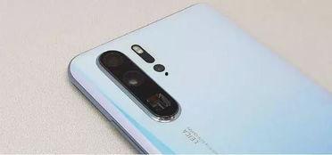 带你吃瓜苹果手机  第2张