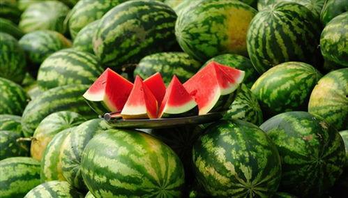 你们却在吃瓜,揭秘“吃瓜群众”背后的真相与趣味  第3张