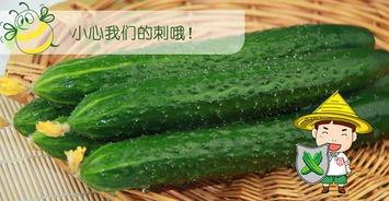 夏天吃瓜的推荐  第2张