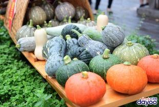 全网新鲜吃瓜网,揭秘娱乐圈幕后真相！  第2张