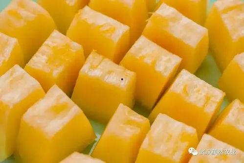 蜜露蜜瓜怎么吃,解锁夏日清新美味  第3张