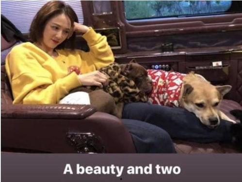 吃瓜童鞋李诞图片  第3张