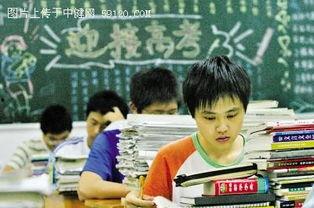 吃瓜学生30天挑战,吃瓜学生的成长之旅  第3张