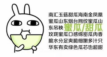 只想睡觉吃瓜  第3张