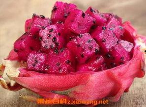 吃瓜吃火龙果,吃瓜群众的甜蜜诱惑  第2张