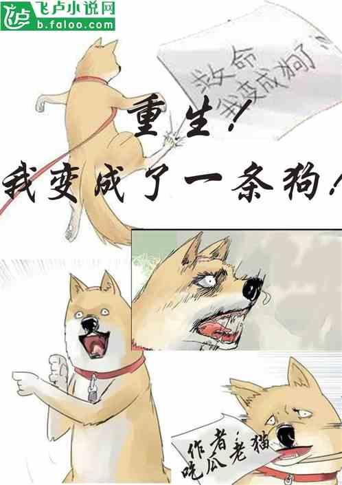 吃瓜老王全部小说,穿越时空的奇幻美食之旅  第2张