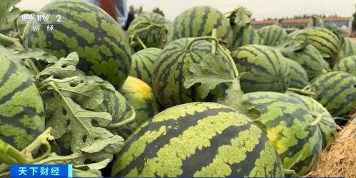 商丘吃瓜曝光事件  第3张