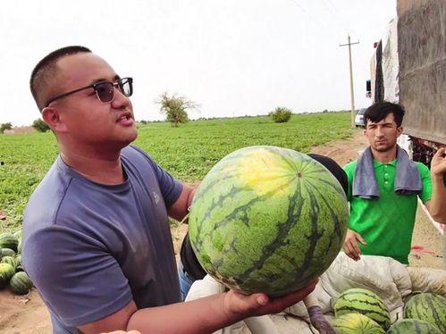 作曲家吃瓜  第3张