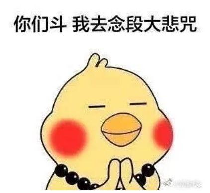 企鹅吃小瓜表情包,萌态表情包背后的趣味生活