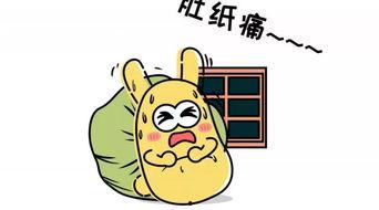 吃瓜群众981,一场全民参与的娱乐盛宴