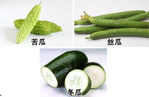 顿顿都吃瓜,顿顿都吃瓜，揭秘娱乐圈那些事儿  第3张