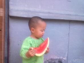 吃瓜的崽儿,揭秘娱乐圈幕后故事  第3张