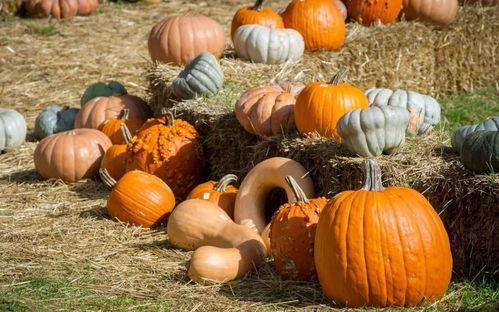 义安区吃瓜  第3张