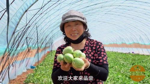 心尖吃瓜,一场别开生面的夏日盛宴  第3张