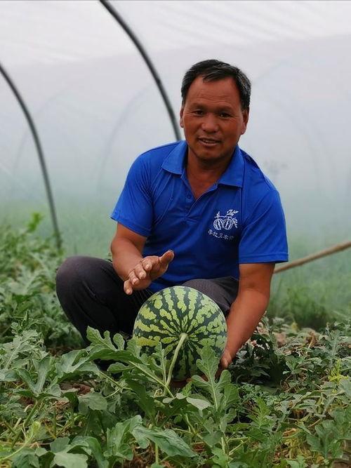 河南林夕雅吃瓜