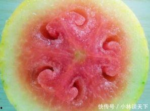 颜九吃瓜  第2张