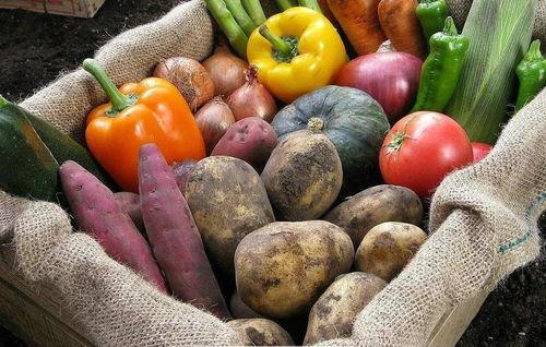 美国phd吃瓜,揭秘留学生活中的“吃瓜”趣事  第2张