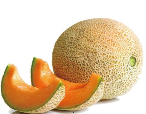 冬至吃哈密瓜  第2张
