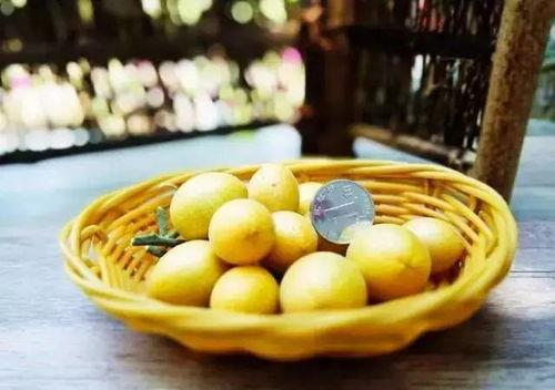 黄皮角瓜怎么吃,解锁美味新体验