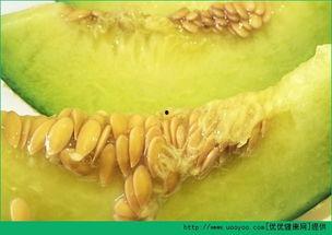 移植胚胎吃哈密瓜,孕育生命的奇妙之旅