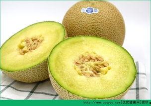 移植胚胎吃哈密瓜,孕育生命的奇妙之旅  第3张