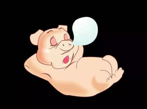 猪吃瓜的搞笑,猪吃瓜的欢乐日常